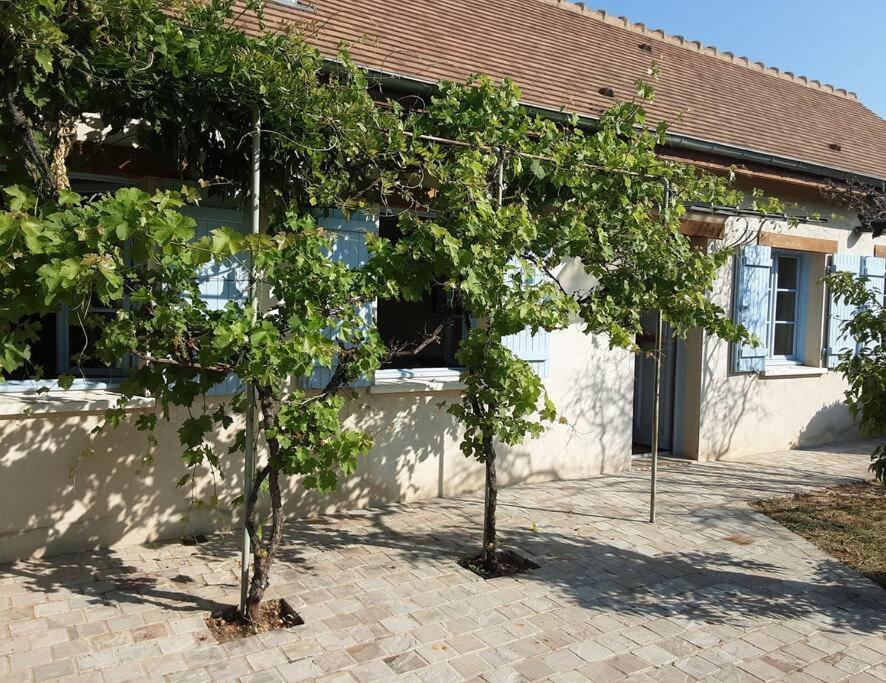 Vila Les Annexes Verdun-sur-le-Doubs Exteriér fotografie