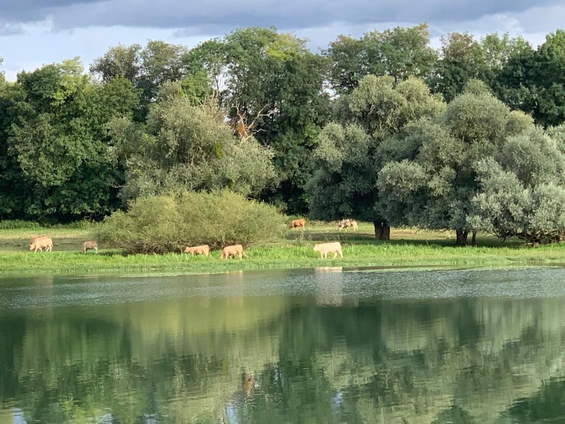 Vila Les Annexes Verdun-sur-le-Doubs Exteriér fotografie