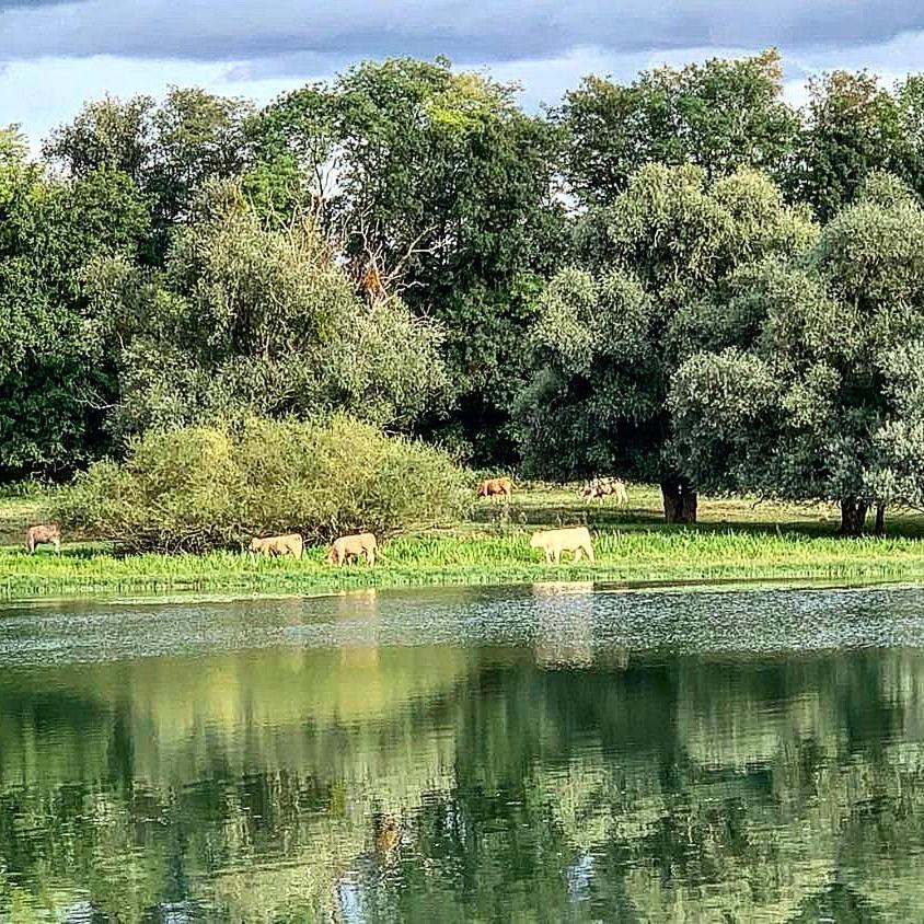 Vila Les Annexes Verdun-sur-le-Doubs Exteriér fotografie