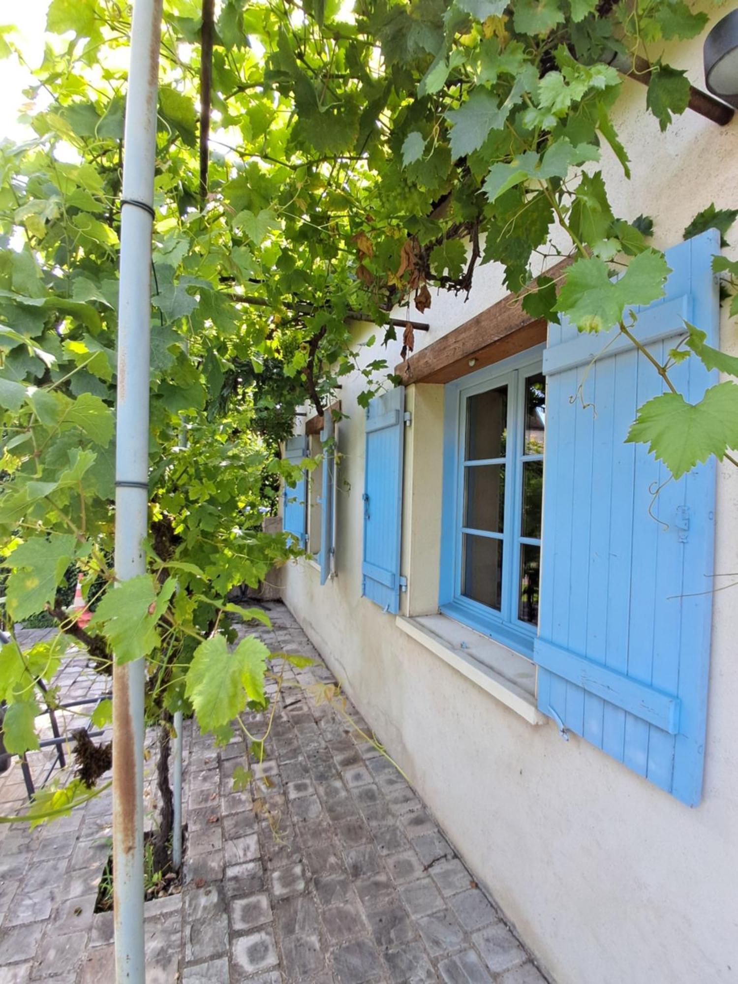 Vila Les Annexes Verdun-sur-le-Doubs Exteriér fotografie